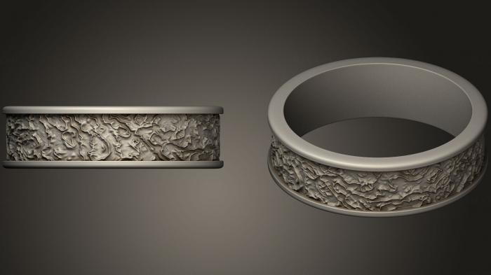 Jewelry rings (JVLRP_0497) 3D model for CNC machine